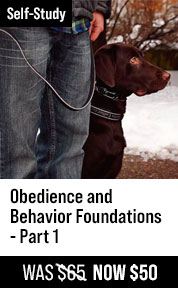 Obedience and Behavior Foundations - Part 1