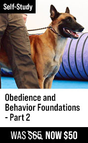 Obedience and Behavior Foundations - Part 2