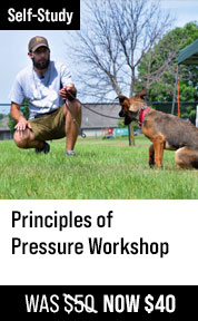 Principles of Pressure Workshop