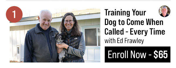 Training Your Dog to COME When Called - EVERY TIME