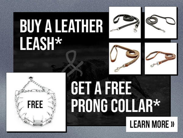 Buy a Select Leather Leash and Get a FREE Medium Prong Collar