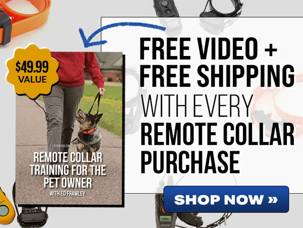 Free Shipping + Free Video with Remote Collar Purchase