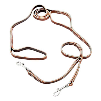 1/2-inch Two Handle Prong Collar Leash