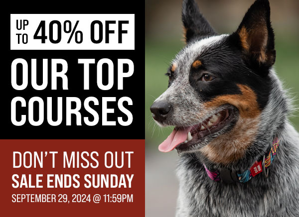 Up to 40% Off Our Top Courses