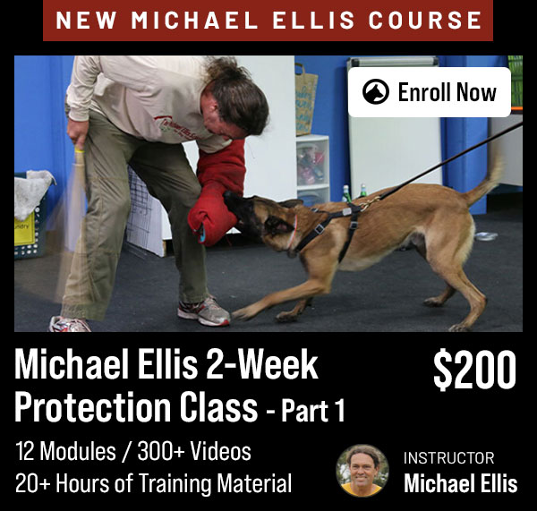 Michael Ellis Protection Dog Course Part 1