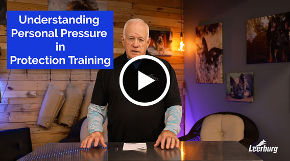 Understanding Personal Pressure in Protection Dog Training