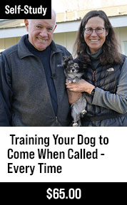 Training Your Dog to COME When Called - EVERY TIME - with Ed Frawley & Cindy Rhodes - Ver 2024