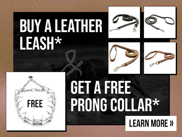 Free Prong Collar with Select Leather Leash Purchase