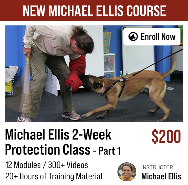 Michael Ellis Protection Dog Course Part 1