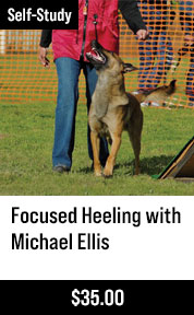 Focused Heeling with Michael Ellis