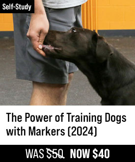 The Power of Training Dogs with Markers - Version 2024