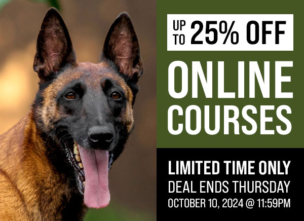 Up to 25% Off Select Courses