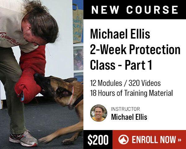 Michael Ellis 2-Week Protection Class - Part 1