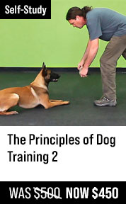 Principles of Dog Training 2