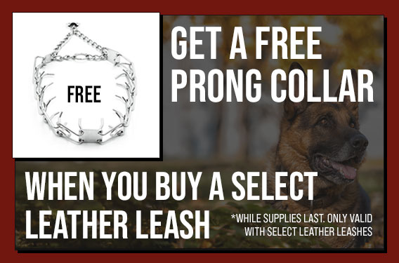 Free Prong Collar with Select Leather Leash Purchase