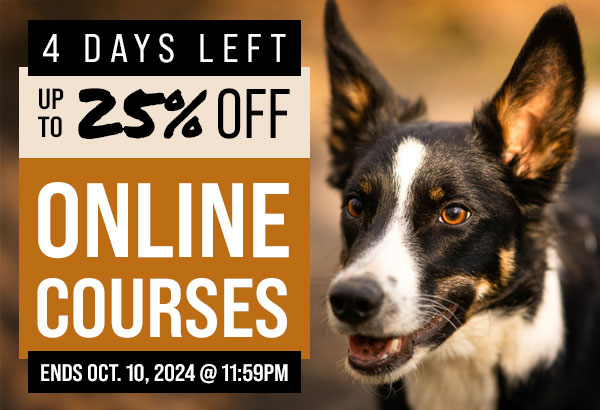 Up to 25% Off Select Courses