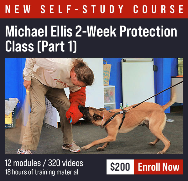 Michael Ellis 2-Week Protection Class - Part 1