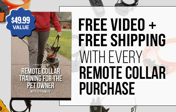 Free Video + Shipping with Every Remote Collar Purchase