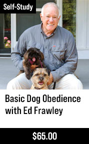 Basic Dog Obedience