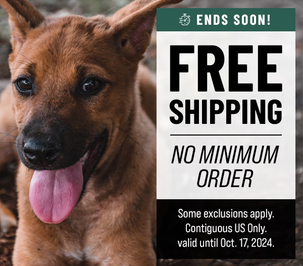 Free Shipping