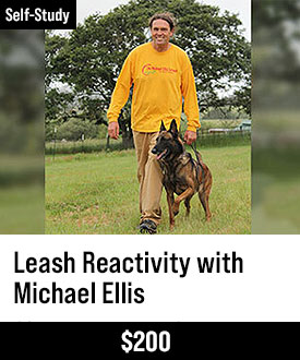 Leash Reactivity with Michael Ellis