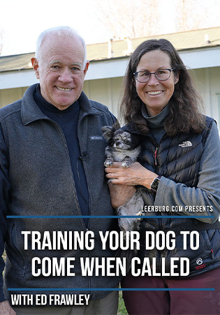 Training Your Dog to Come When Called DVD