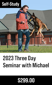 2023 Three Day Seminar with Michael Ellis