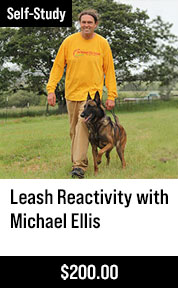 Leash Reactivity with Michael Ellis