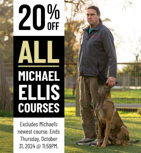 20% Off Michael Ellis Courses