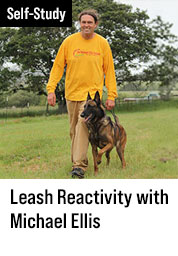 Leash Reactivity with Michael Ellis