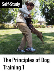 Principles of Dog Training 1