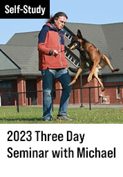 2023 Three-Day Seminar with Michael Ellis