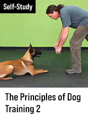 The Principles of Dog Training 2