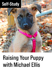 Raising Your Puppy with Michael Ellis