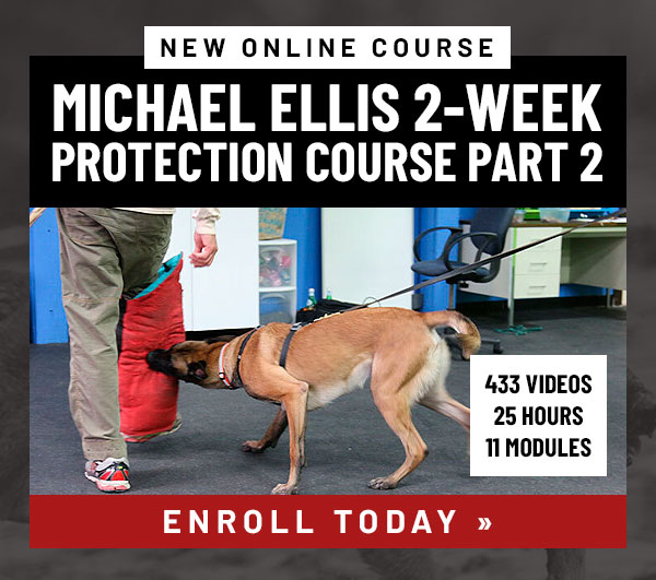 Michael Ellis 2-Week Protection Course Part 2