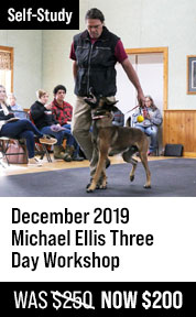 December 2019 Michael Ellis Three Day Workshop