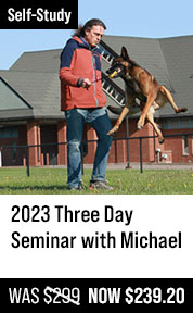 2023 Three Day Seminar with Michael Ellis