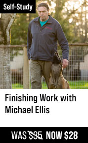 Finishing Work with Michael Ellis