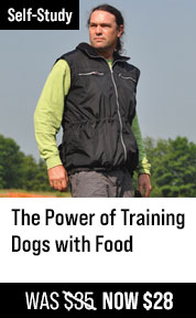 The Power of Training Dogs with Food