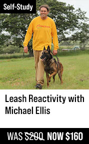 Leash Reactivity with Michael Ellis