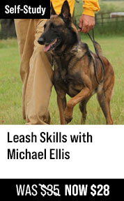 Leash Skills with Michael Ellis