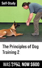 The Principles of Dog Training 2