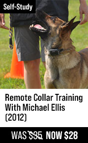 Remote Collar Training with Michael Ellis (2012)