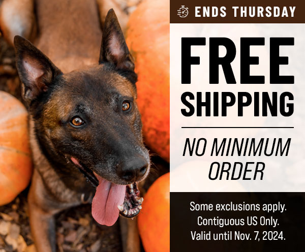 Free Shipping