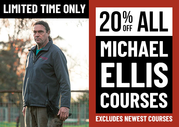 20% Off Michael Ellis