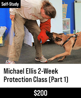 Michael Ellis 2-Week Protection Class - Part 1