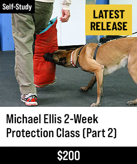 Michael Ellis 2-Week Protection Class - Part 2