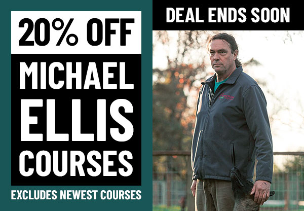 20% Off Michael Ellis