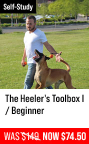 The Heeler's Toolbox I / Beginner