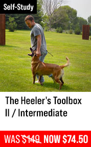 The Heeler's Toolbox II / Intermediate